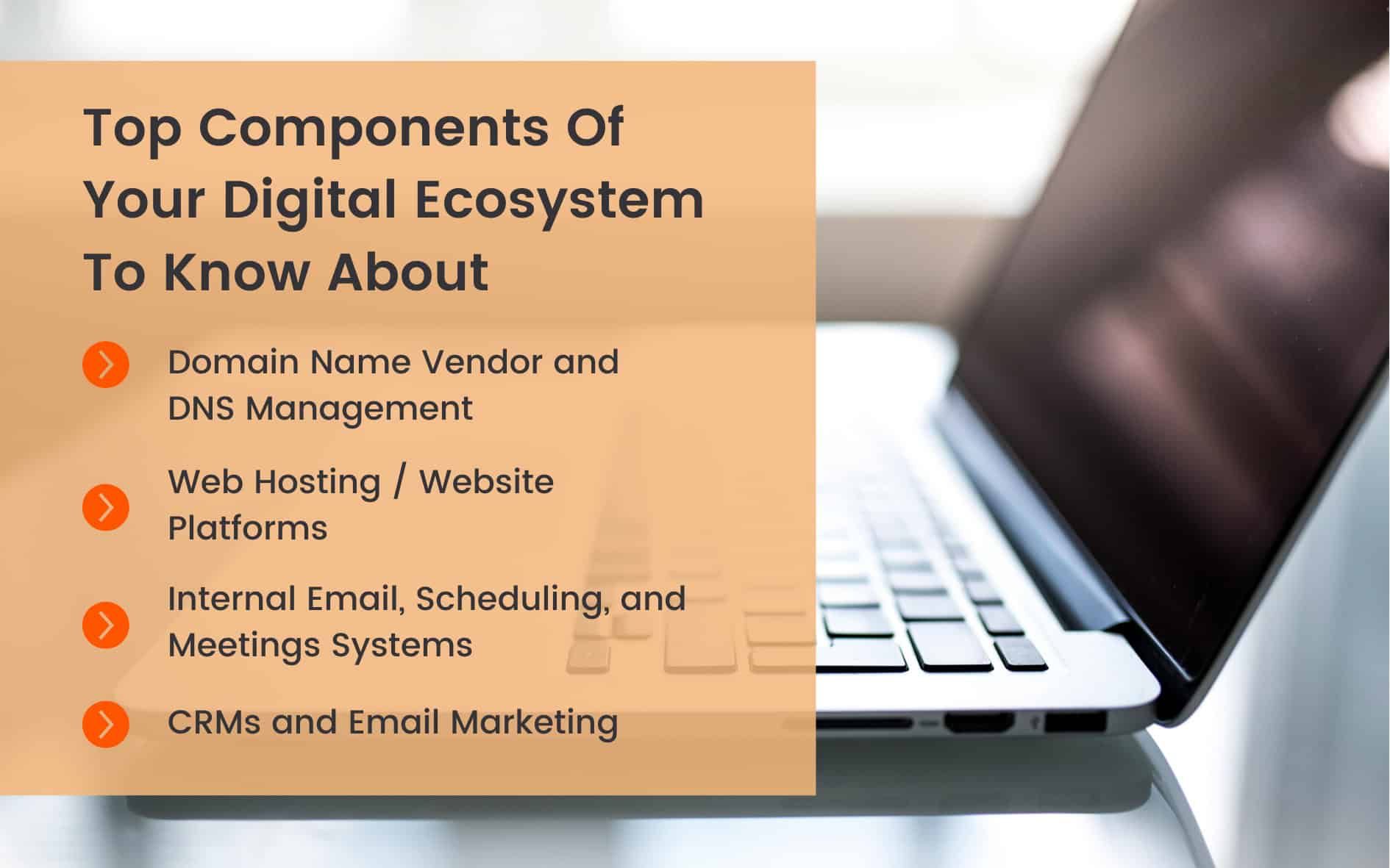 Digital Ecosystem Components - Psyche Digital